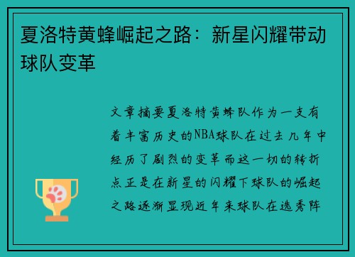 夏洛特黄蜂崛起之路：新星闪耀带动球队变革