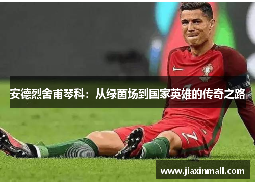 安德烈舍甫琴科：从绿茵场到国家英雄的传奇之路