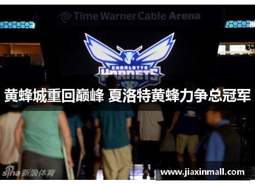 黄蜂城重回巅峰 夏洛特黄蜂力争总冠军
