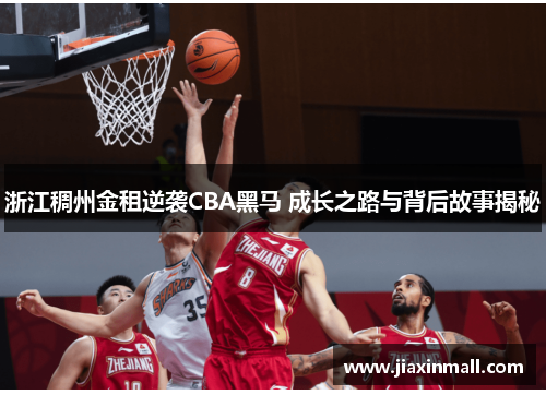 浙江稠州金租逆袭CBA黑马 成长之路与背后故事揭秘