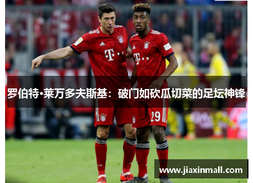 罗伯特·莱万多夫斯基：破门如砍瓜切菜的足坛神锋